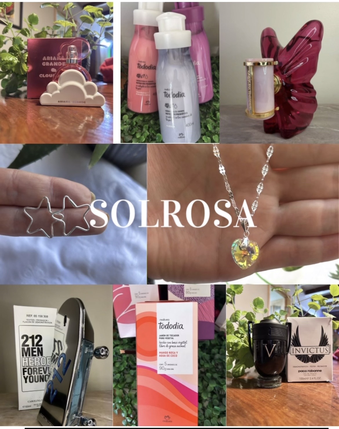 Solrosa
